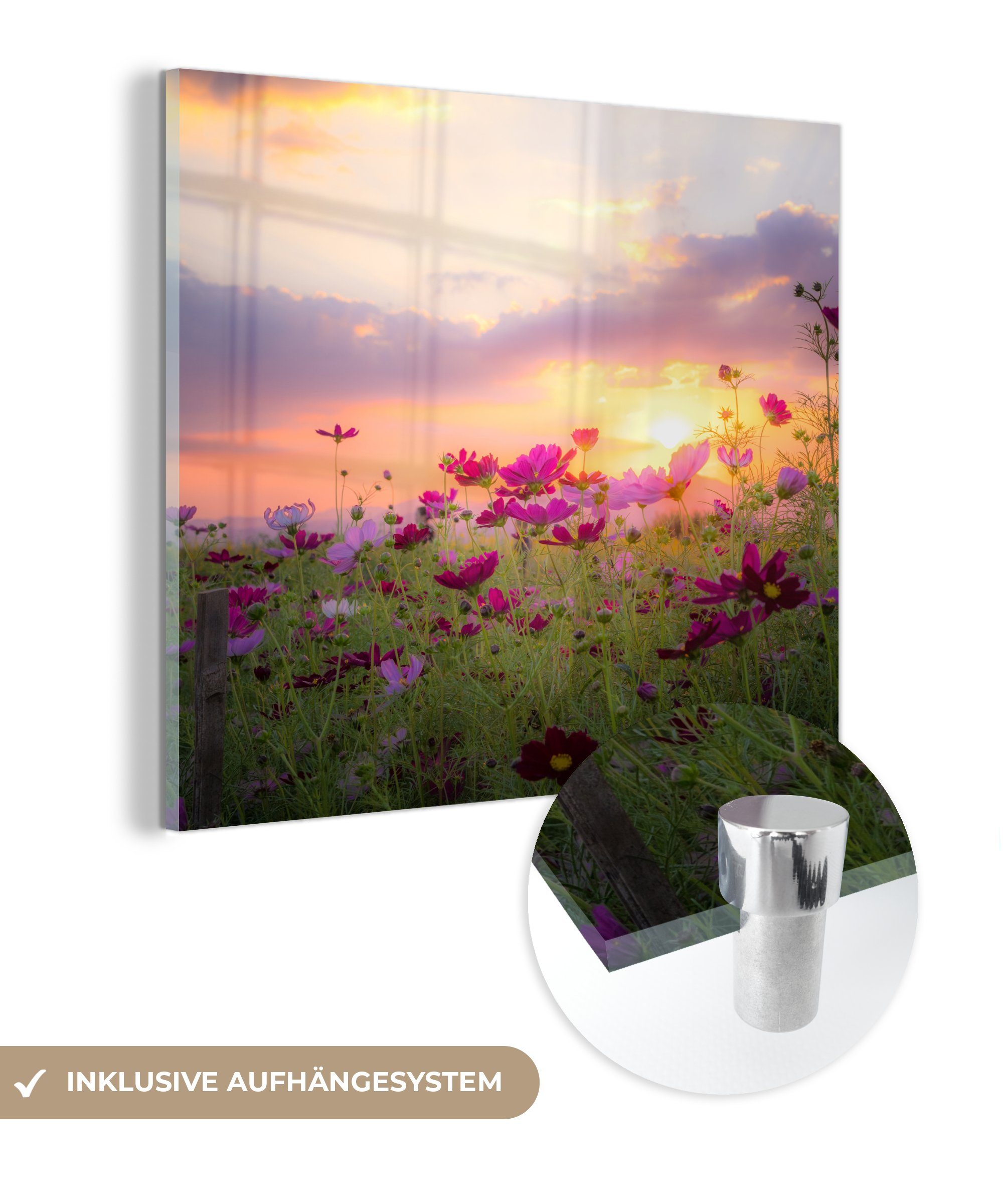 MuchoWow Acrylglasbild Sonnenuntergang - Blumen Bilder - Wanddekoration auf auf - Glas - Rosa Glasbilder Wandbild Grün, - Natur - - Foto St), Glas (1