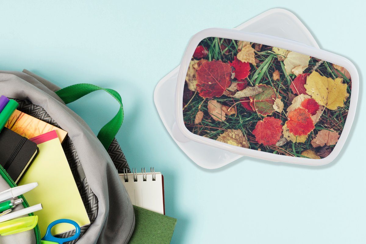 MuchoWow Lunchbox Blätter - November Brotdose, weiß und (2-tlg), Brotbox Erwachsene, Natur, und Mädchen Jungs - Kunststoff, für Kinder Herbst für 