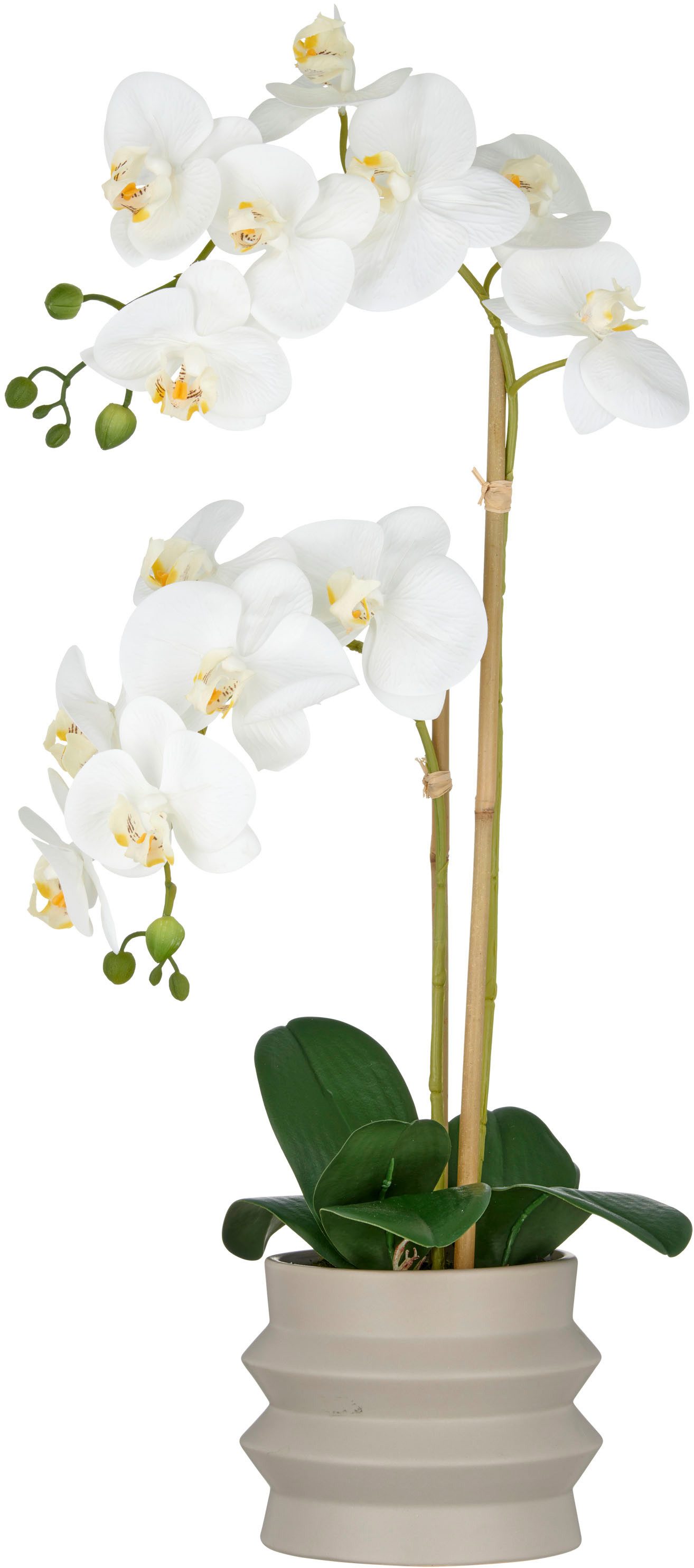Kunstorchidee Orchidee Phalaenopsis, Creativ green, Höhe 60 cm, im Design-Topf
