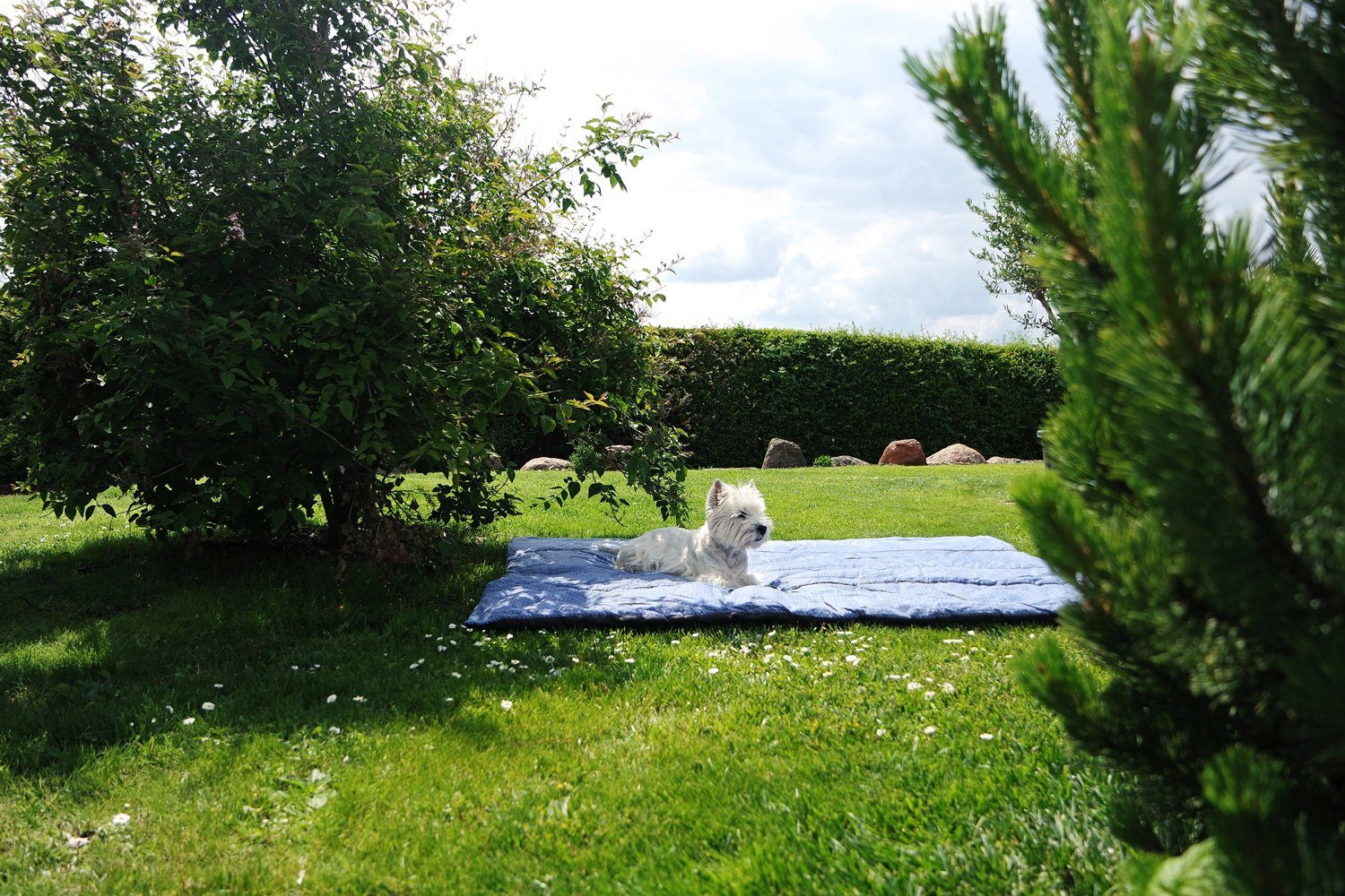 Picknickdecke Molly Ocean, Amazonas, Kuscheldecke