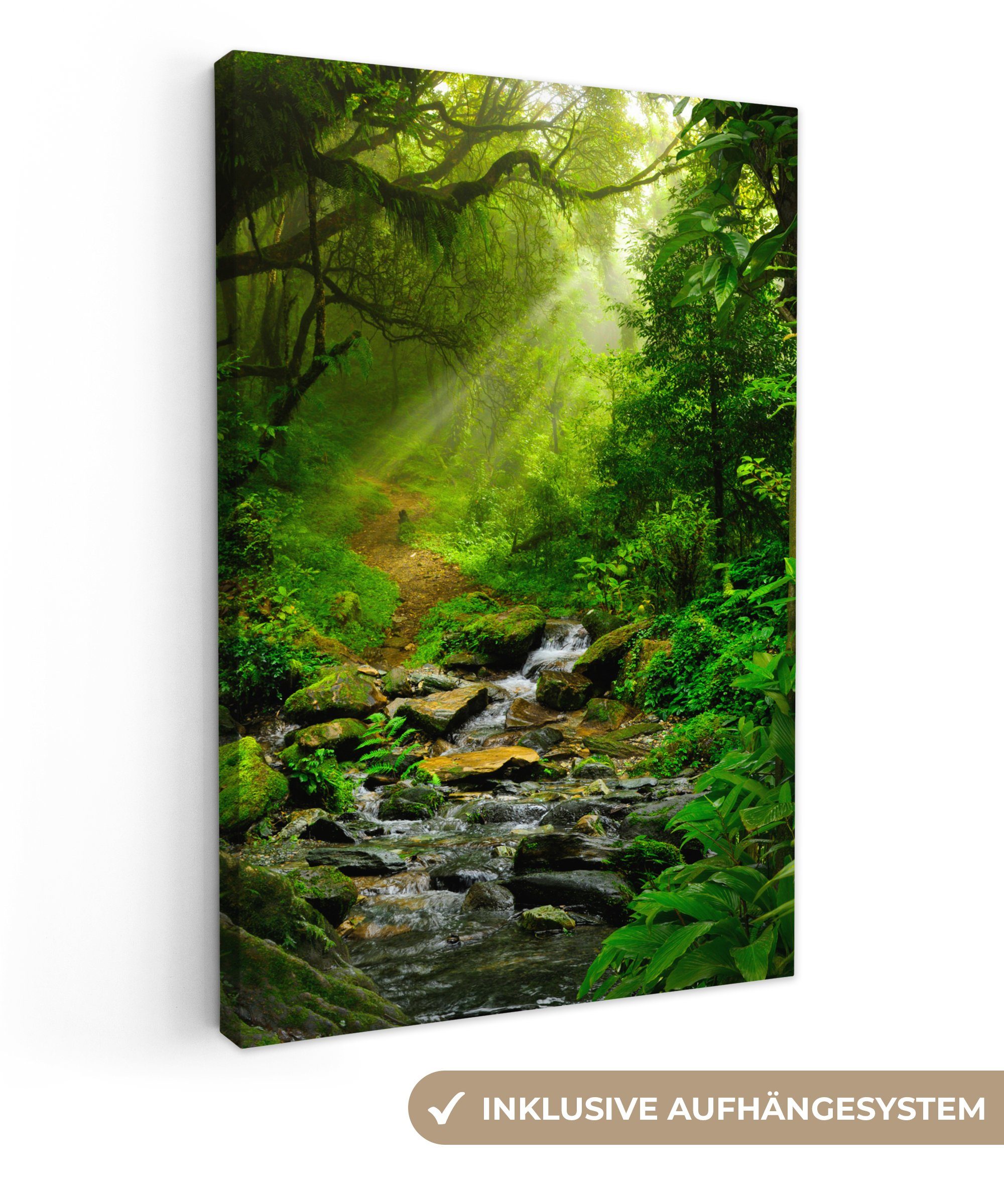 OneMillionCanvasses® Leinwandbild Dschungel - Wasser - Laub - Sonne - Natur günstig online kaufen