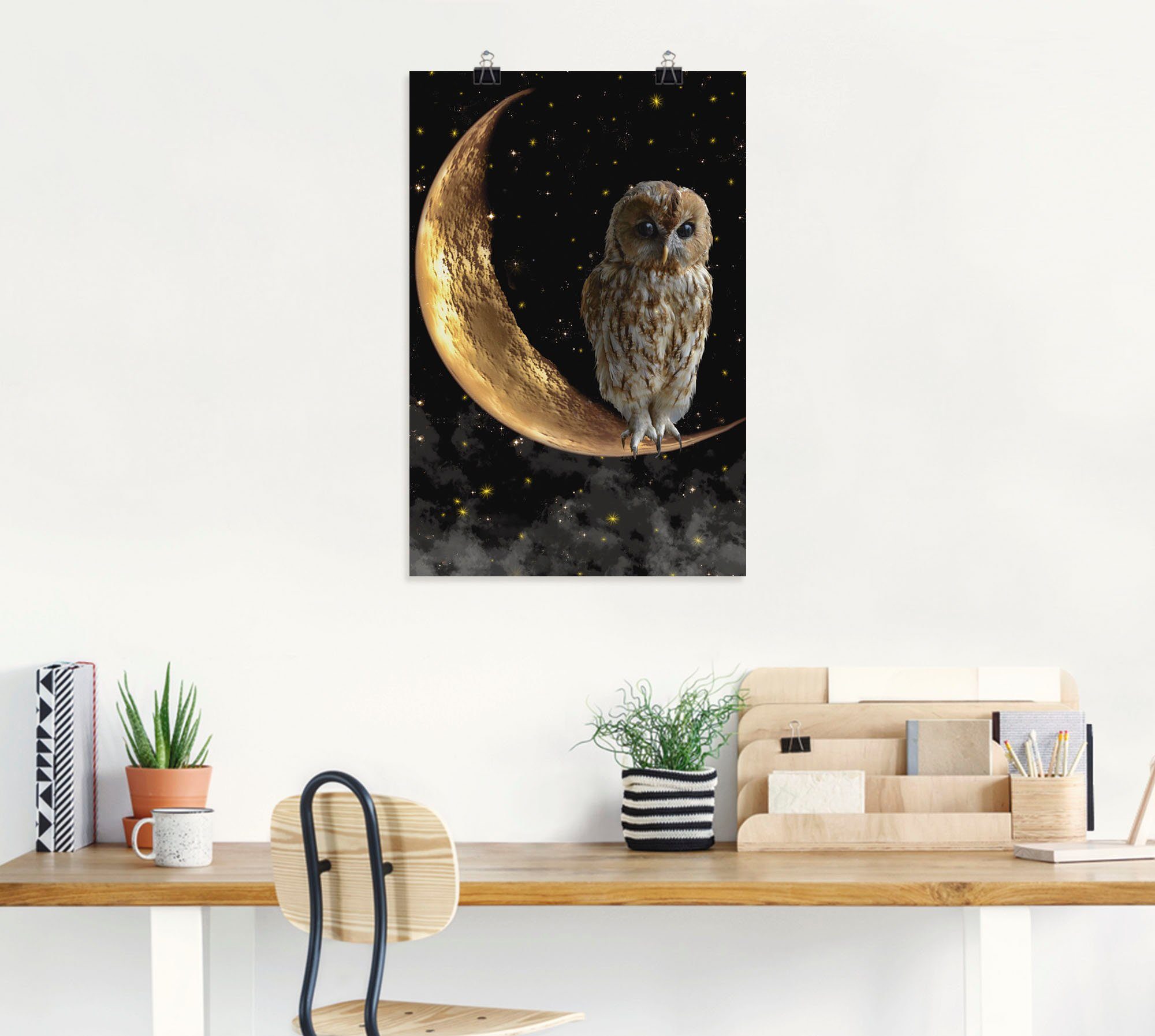 Artland Wandbild Nachteule, Vögel (1 St), als Alubild, Leinwandbild, Poster in verschied. Größen
