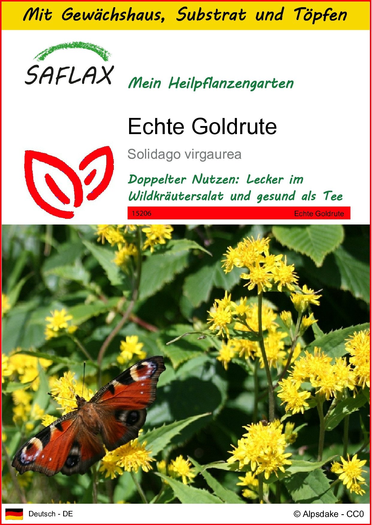 SAFLAX Blumensamen SAFLAX - Anzuchtset - Echte Goldrute