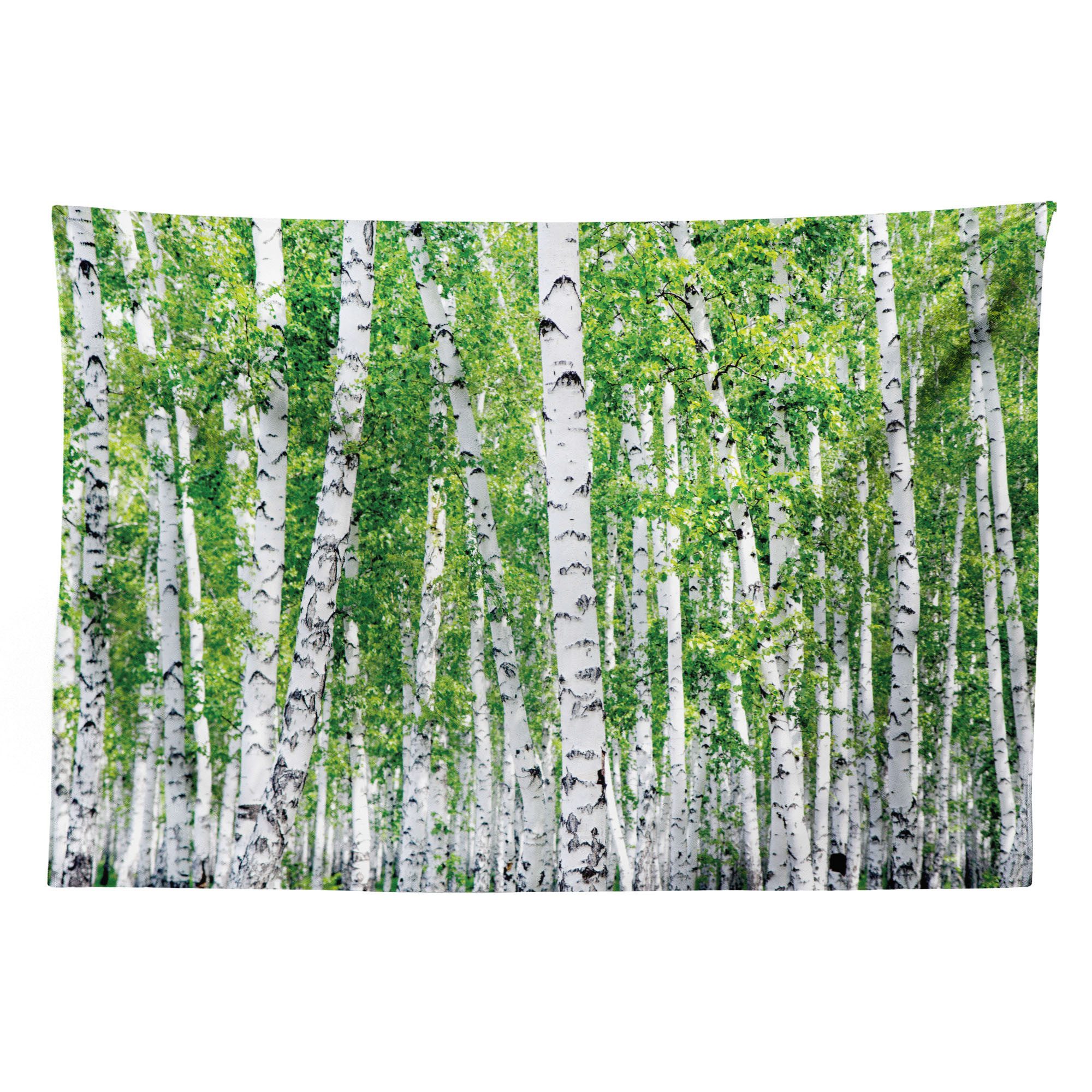 Abakuhaus Wandteppich aus Weiches Mikrofaser Stoff Für das Wohn und Schlafzimmer, rechteckig, Birke Frische Sommer-Blätter
