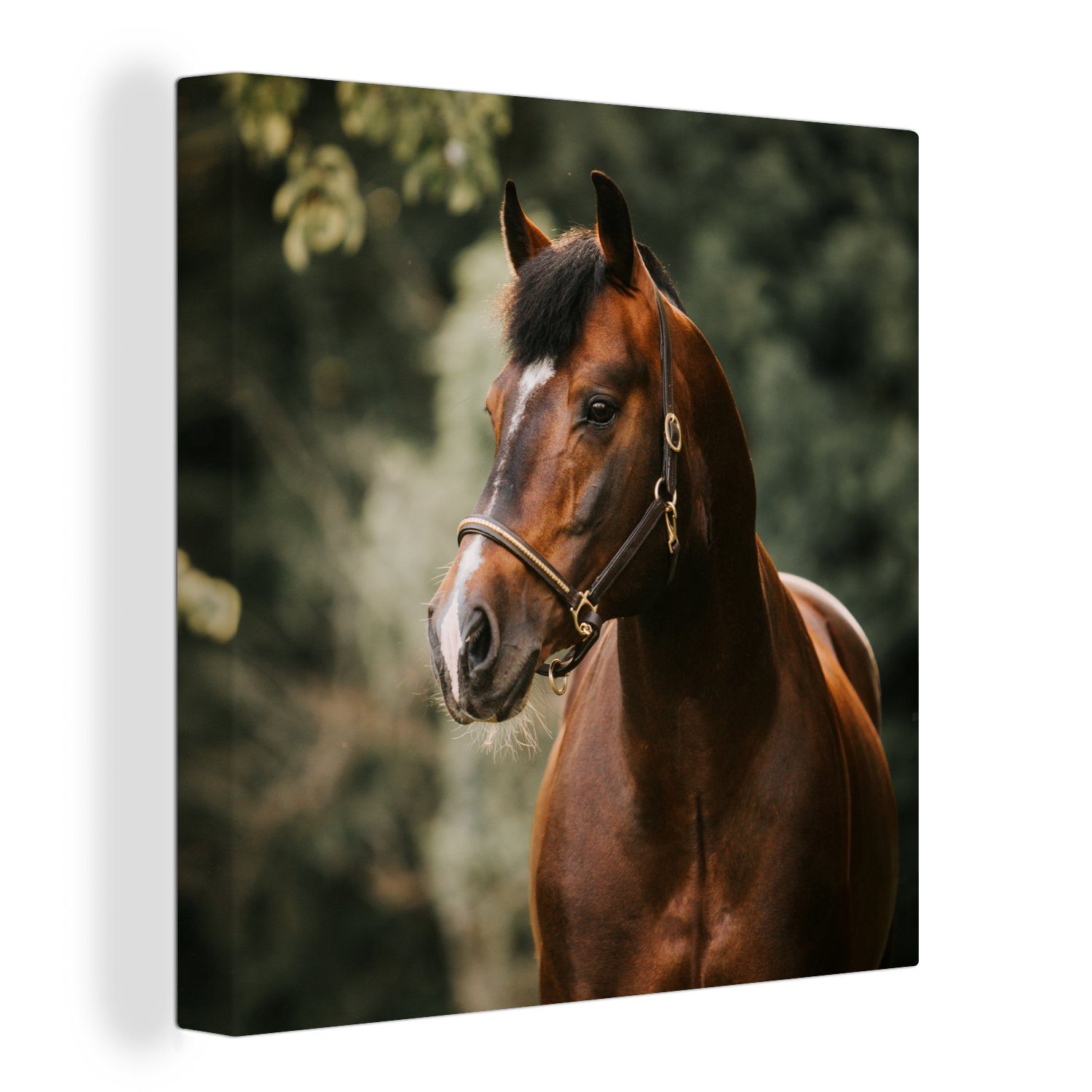 OneMillionCanvasses® Leinwandbild Pferd - Äste - Porträt, (1 St), Leinwand Bilder für Wohnzimmer Schlafzimmer