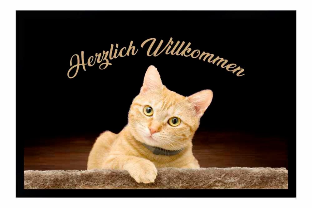 Ladreas Fußmatte Schmutzfangmatte bedruckt rutschfest Katze F195, 60x40