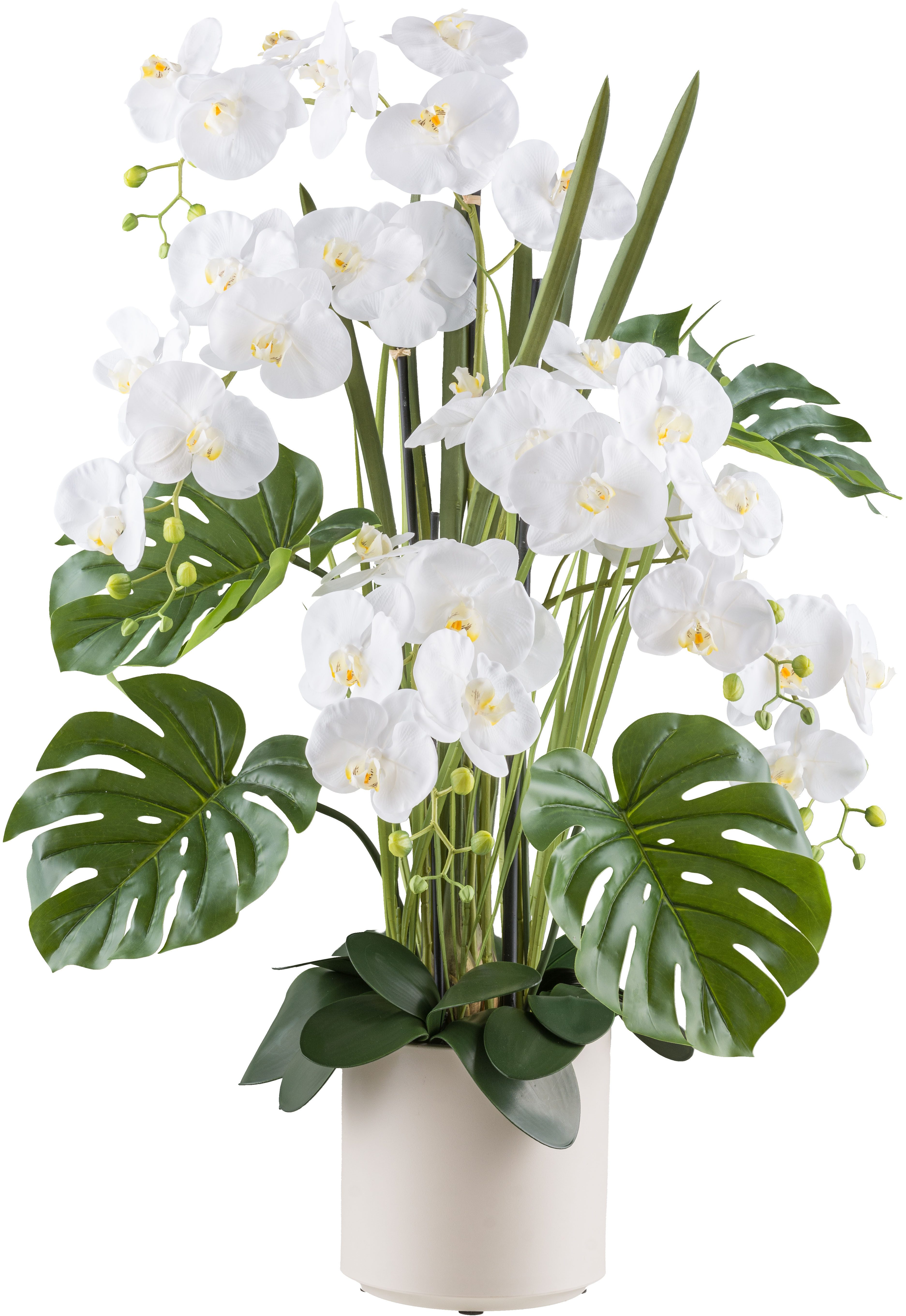 Kunstorchidee Orchidee Phalaenopsis, Creativ green, Höhe günstig online kaufen