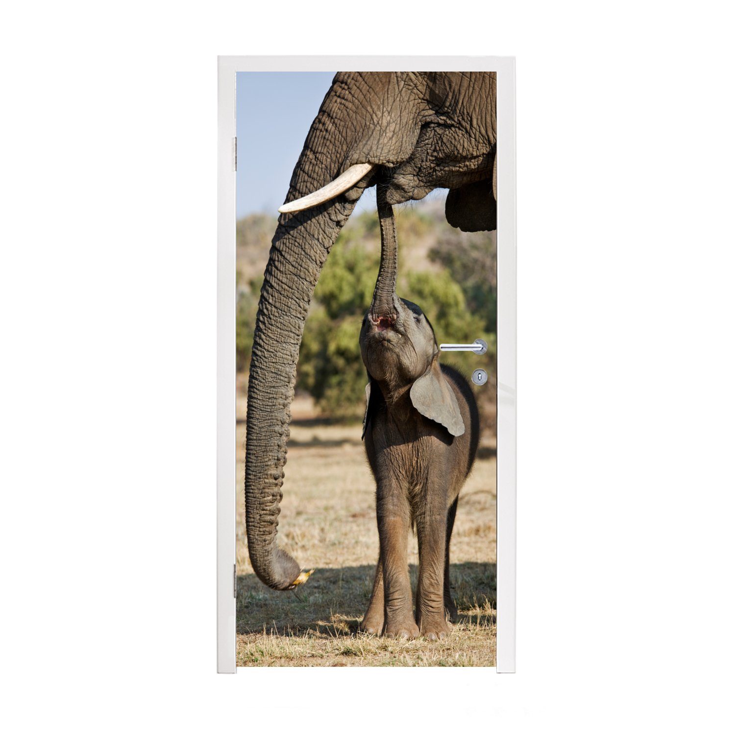 Matt, cm MuchoWow Türaufkleber, Gras St), 75x205 für Tiere - Natur, Fototapete bedruckt, Tür, Türtapete - - Elefant (1
