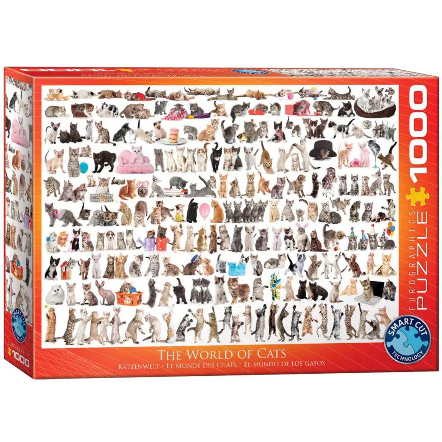 EUROGRAPHICS Puzzle Katzenwelt (Puzzle), 1000 Puzzleteile