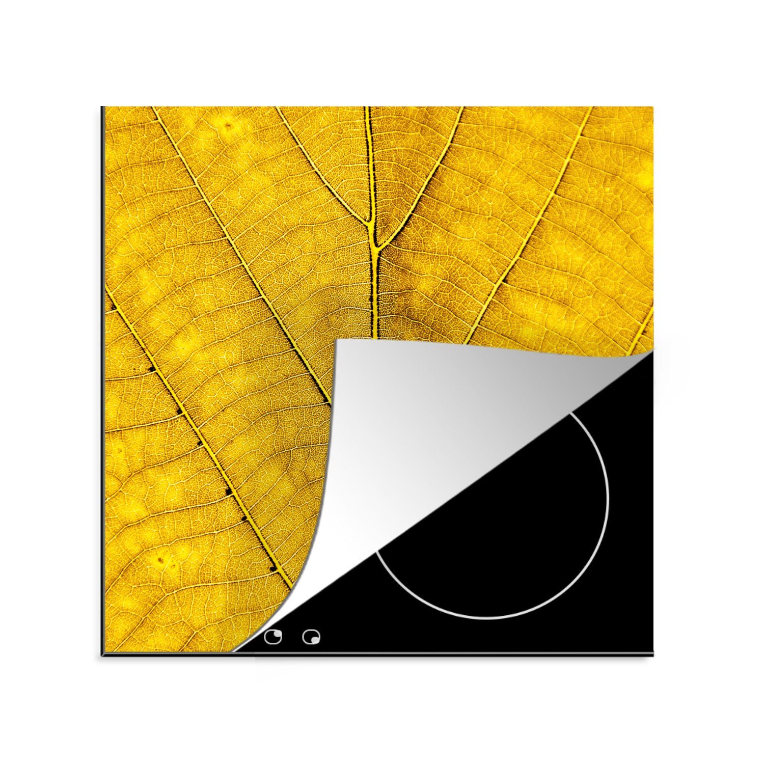 MuchoWow Herdblende-/Abdeckplatte Blätter - Pflanzen - Gelb, Vinyl, (1 tlg), 78x78 cm, Ceranfeldabdeckung, Arbeitsplatte für küche