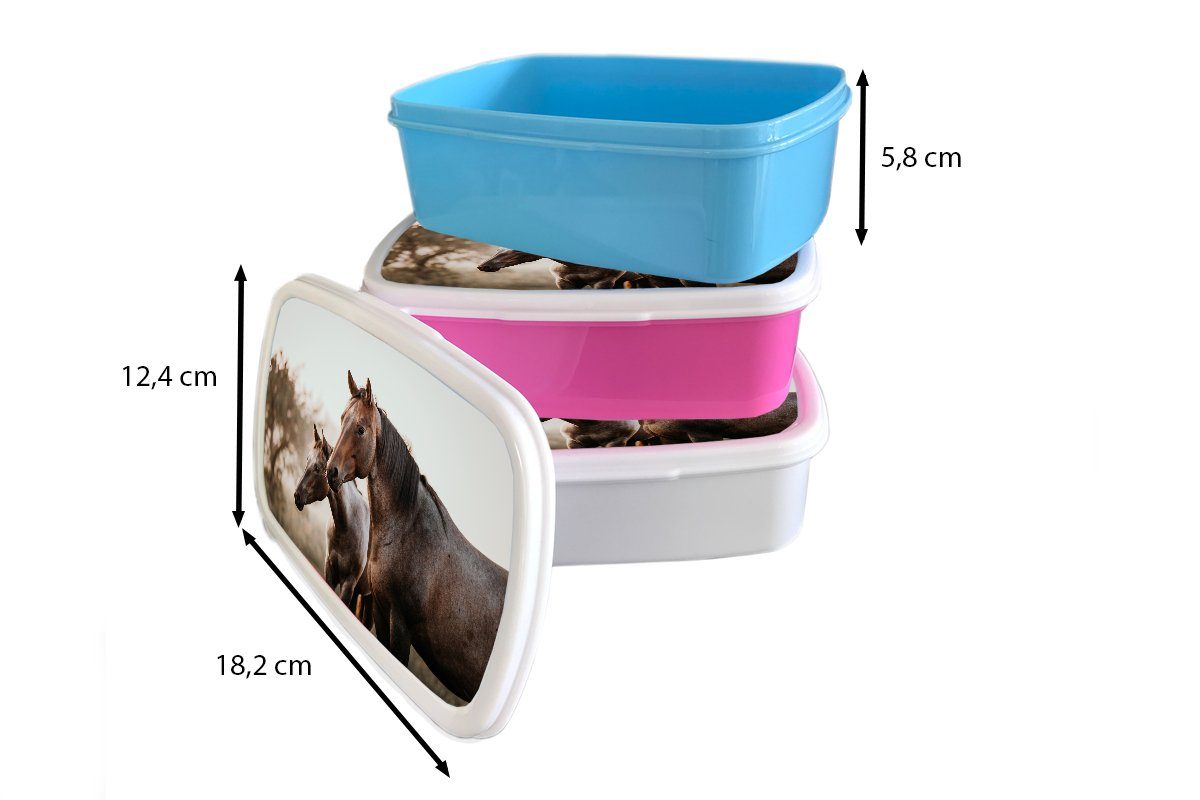 Brotbox - für Natur für weiß Mädchen und Kinder - Erwachsene, MuchoWow Braun, Kunststoff, (2-tlg), Brotdose, und Pferde Lunchbox Jungs