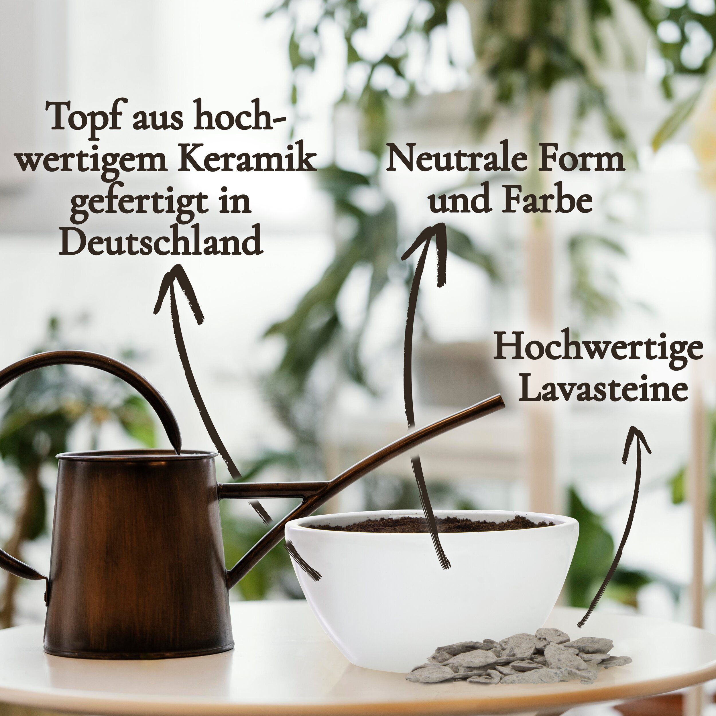 Kunstbonsai Bonsai Starter Kit Anzuchtset Pinie günstig online kaufen