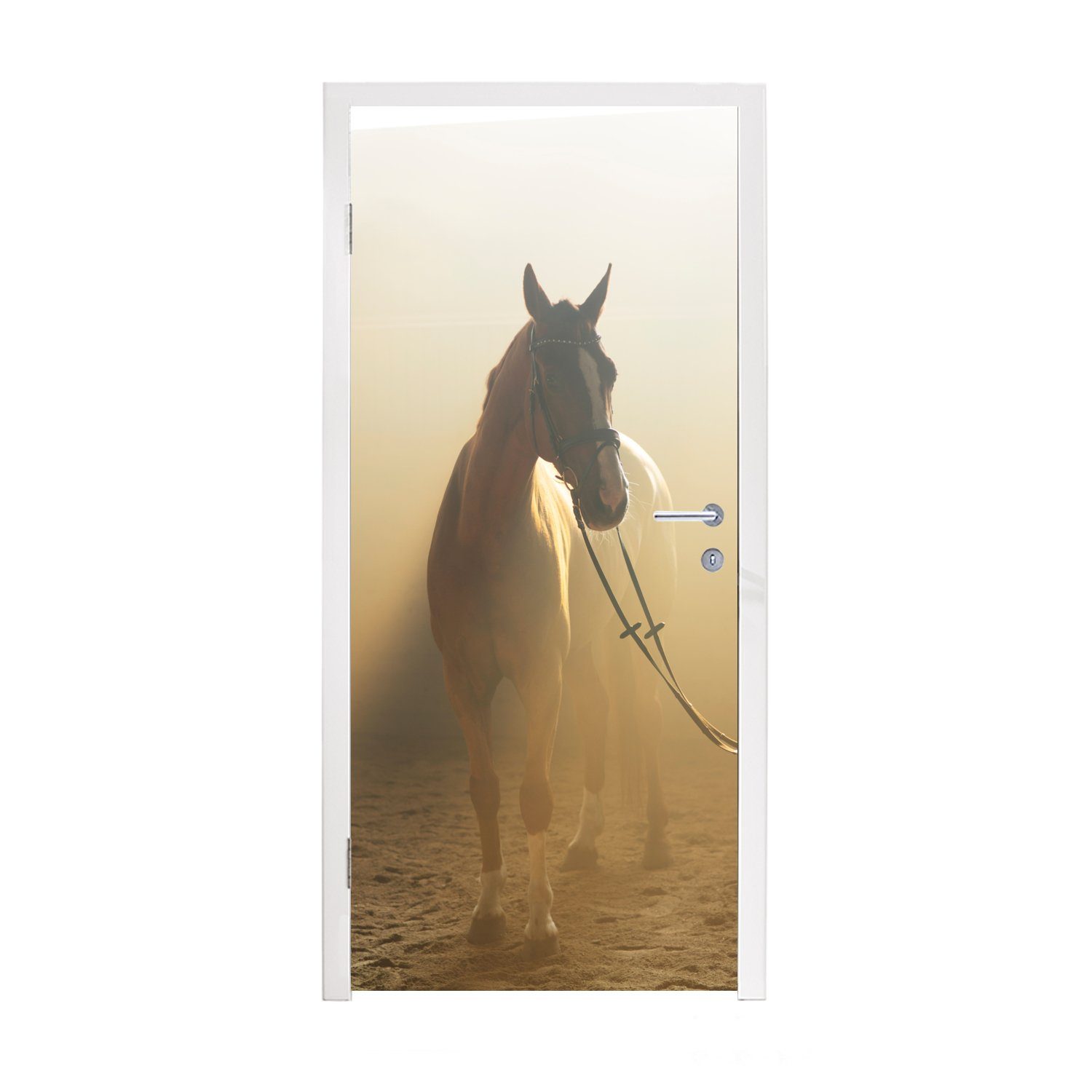 MuchoWow Türtapete Pferd - Licht - Sand, Matt, bedruckt, (1 St), Fototapete für Tür, Türaufkleber, 75x205 cm