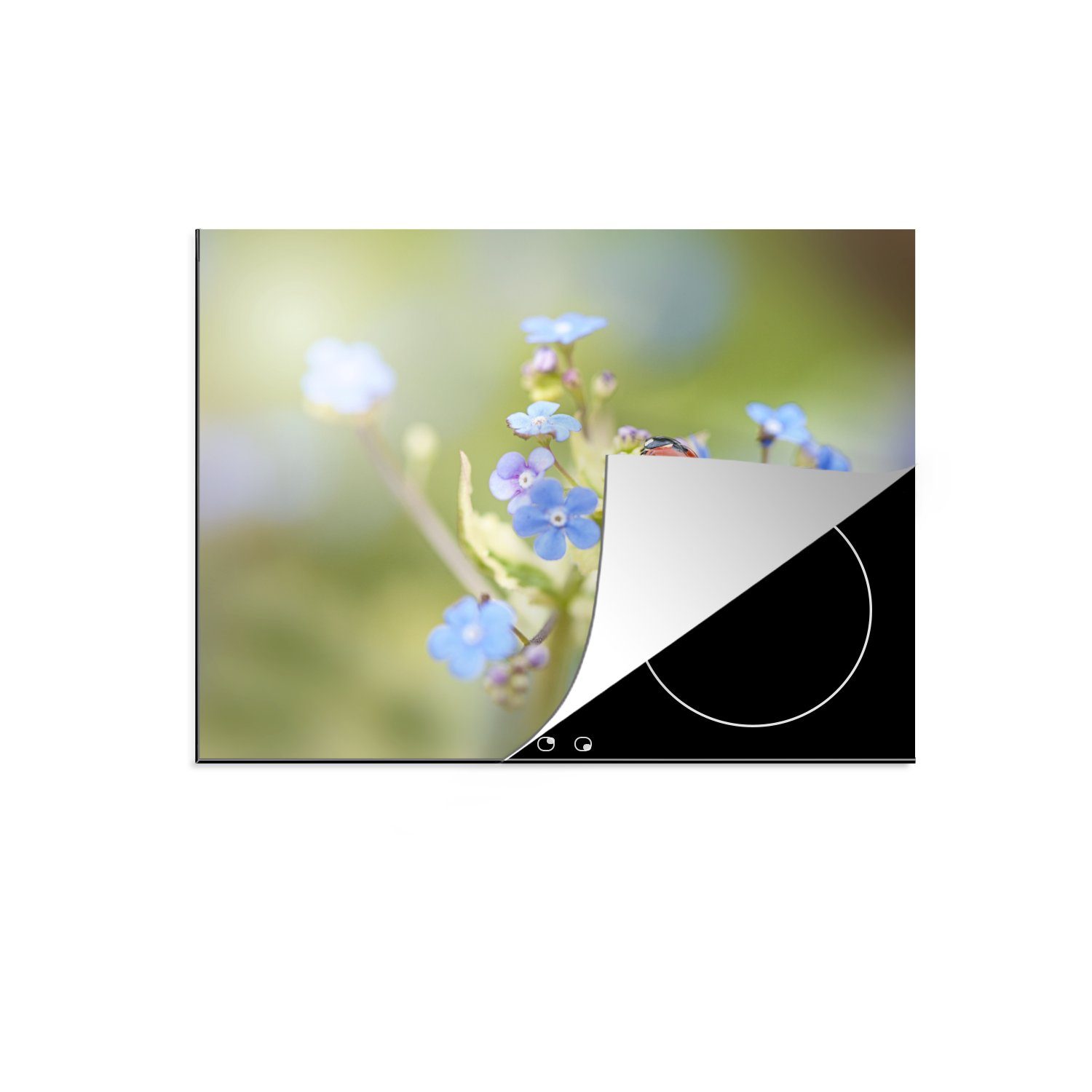 cm, - (1 Vinyl, tlg), Schutz 71x52 Frühling, - die Ceranfeldabdeckung für Induktionskochfeld Herdblende-/Abdeckplatte Marienkäfer Blume MuchoWow küche,