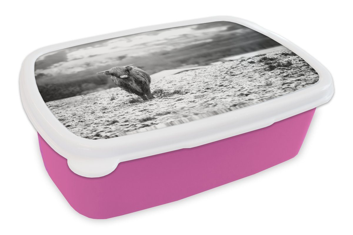 MuchoWow Lunchbox Porträtfoto Schottischer Highlander im Schnee - schwarz-weiß, Kunststoff, (2-tlg), Brotbox für Erwachsene, Brotdose Kinder, Snackbox, Mädchen, Kunststoff rosa