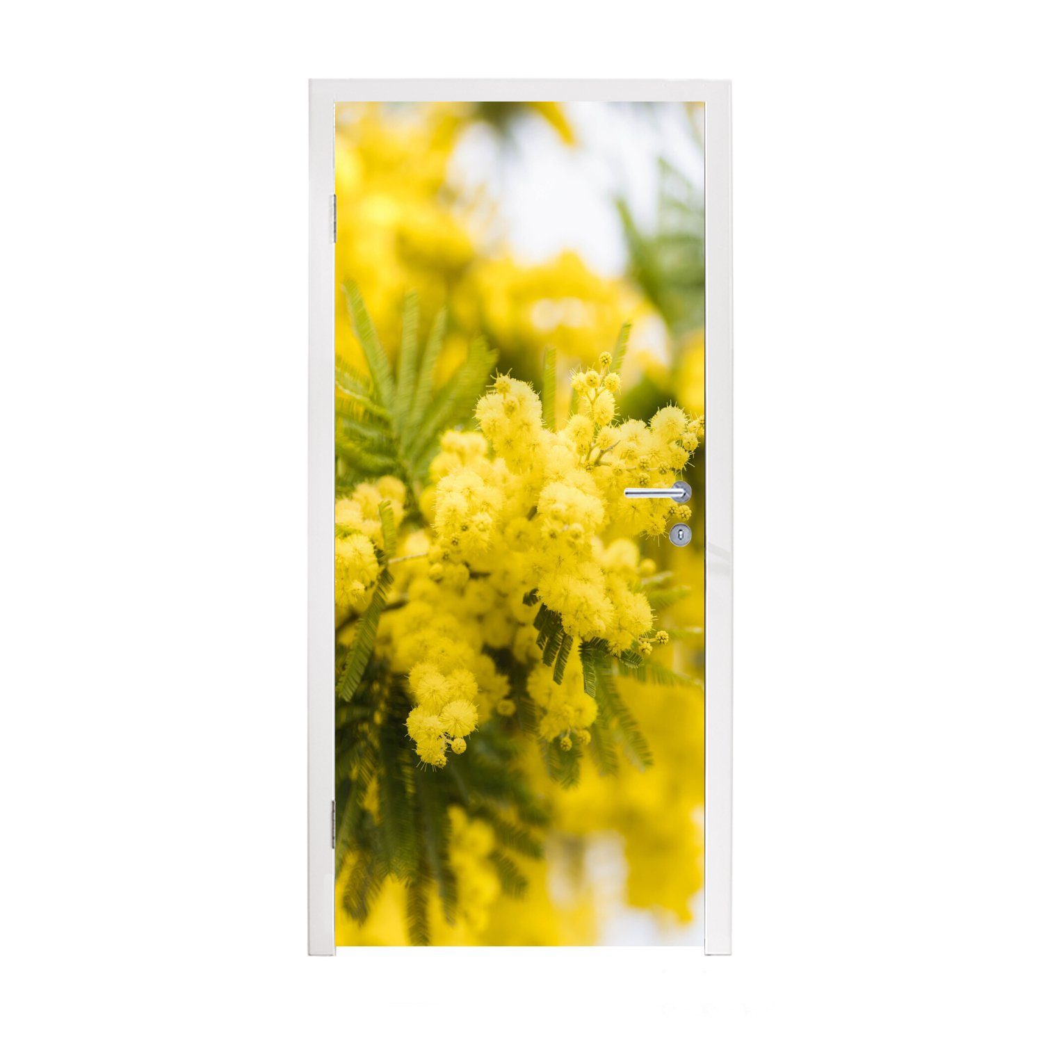 MuchoWow Türtapete Eine gelbe Mimosenblüte, Matt, bedruckt, (1 St), Fototapete für Tür, Türaufkleber, 75x205 cm