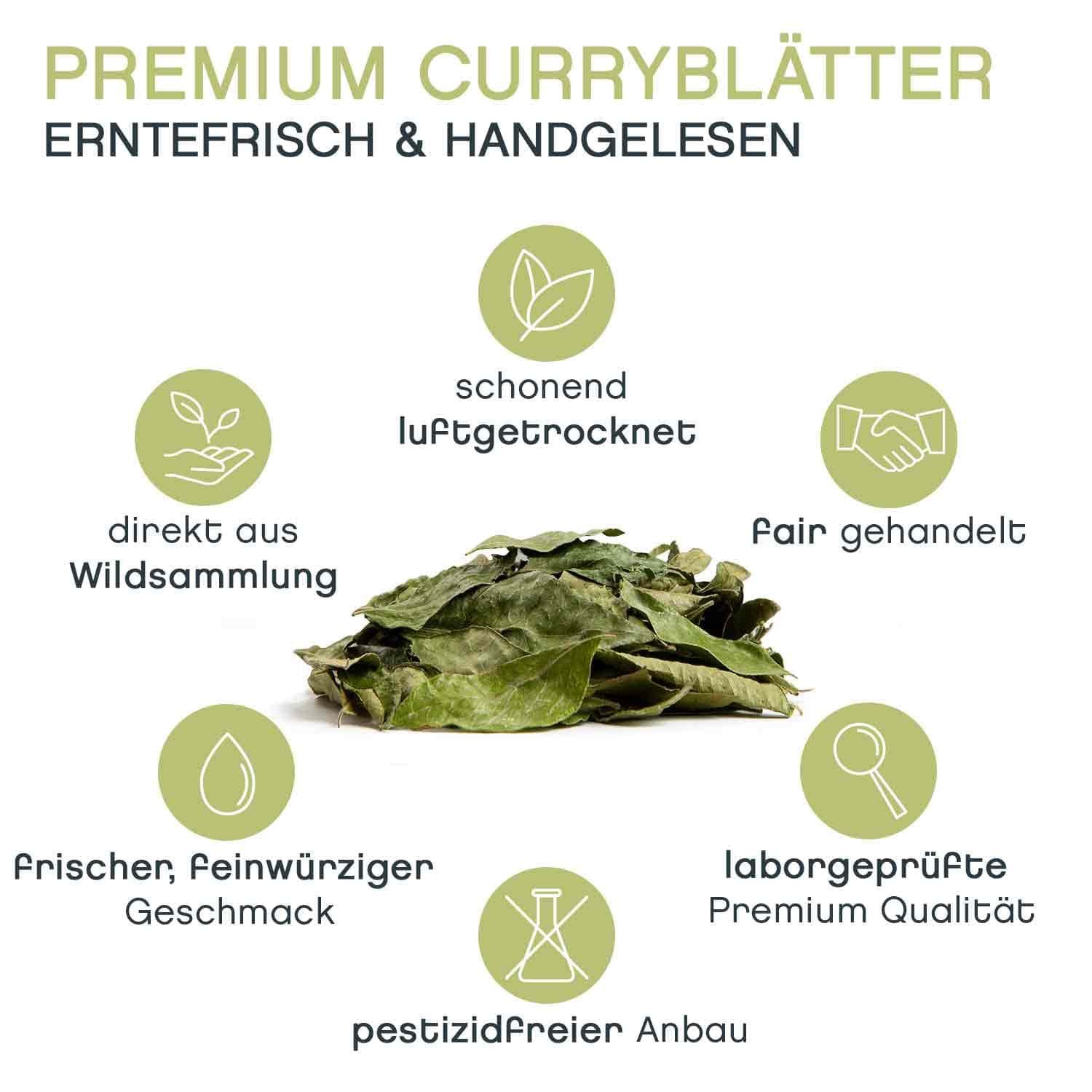 Pfefferdieb Gewürz Premium Curryblätter aus Wildsammlung, ganz, BIO, 20g, Feinwürzig, leicht rauchig mit leichter angenehm frischer Zitrusnote. – Bild 3 von 4
