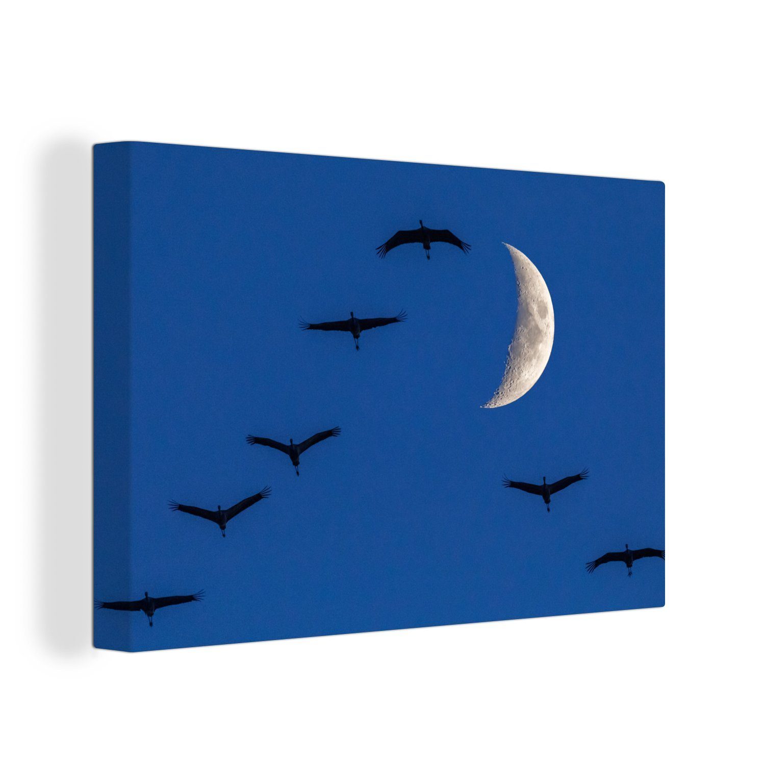 OneMillionCanvasses® Leinwandbild Europäische Kraniche fliegen vor dem Mond, (1 St), Wandbild Leinwandbilder, Aufhängefertig, Wanddeko, 30x20 cm