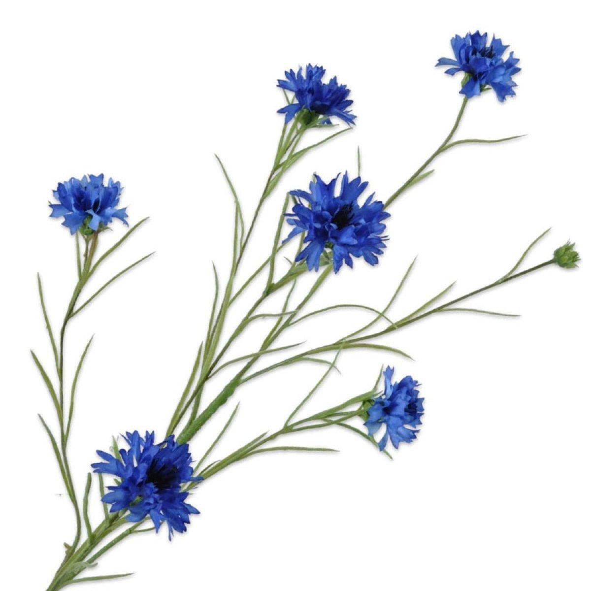 Künstliche Zimmerpflanze Seidenblume Kornblume Blau (92cm), SILK-KA