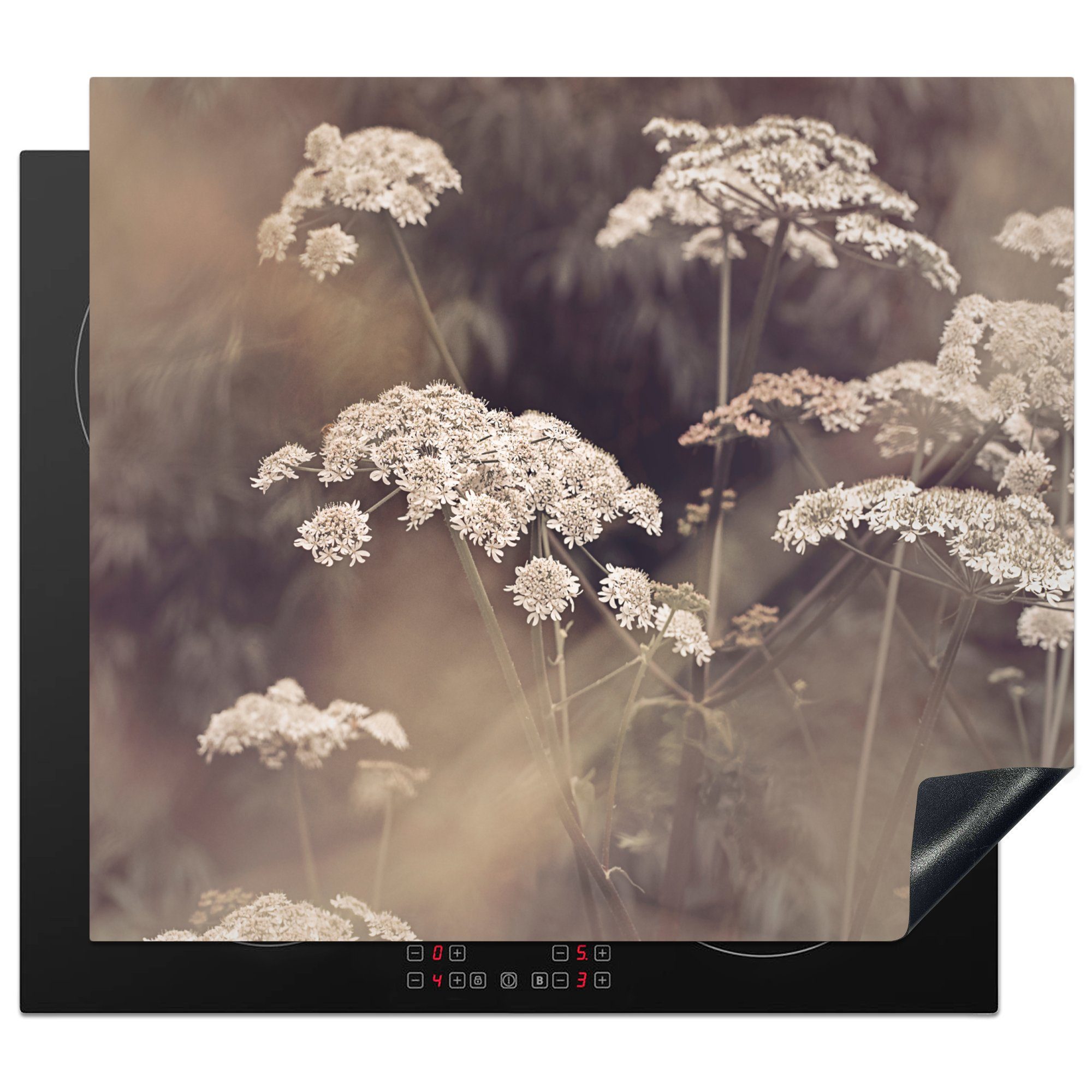 MuchoWow Herdblende-/Abdeckplatte Pflanze - Weiß - Natur - Blumen, Vinyl, (1 tlg), 60x52 cm, Mobile Arbeitsfläche nutzbar, Ceranfeldabdeckung