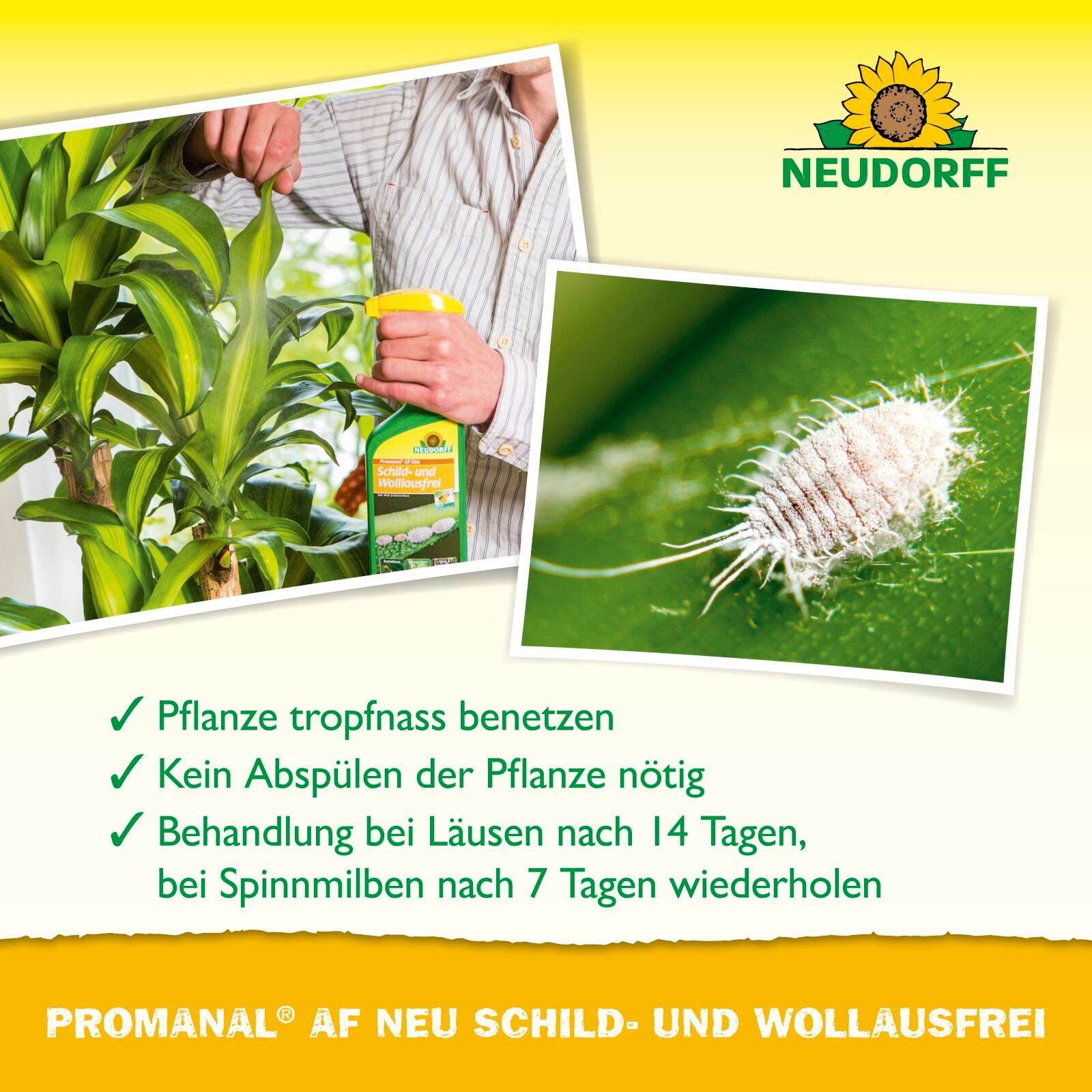 Neudorff Insektenspray Promanal AF Neu Schild- und Wolllausfrei 500 ml, 500 ml, Einzelprodukt, einsetzbar an z.B. Oleander und Oliver, Anwendungsfertiges Spray  – Bild 4 von 5