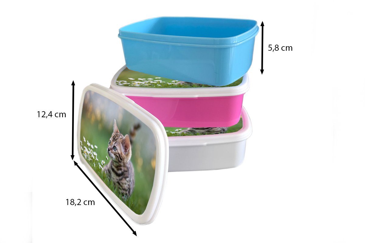 Ein Kunststoff, Brotbox Kätzchen für (2-tlg), MuchoWow für weiß Jungs Gras, Erwachsene, Mädchen im Brotdose, und Kinder und Lunchbox
