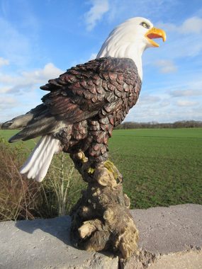 Fachhandel Plus Gartenfigur Adler Weißkopfseeadler auf Fels, (1 St), wetterbeständige Tierfigur