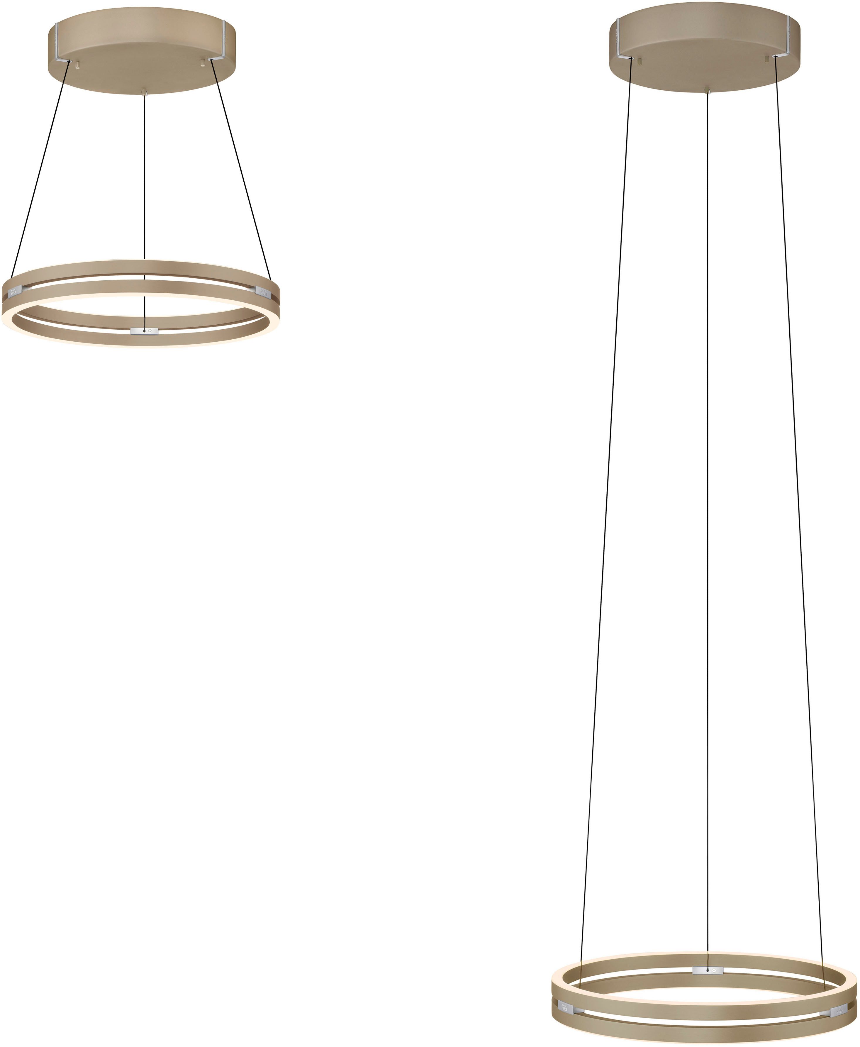 Neuhaus PURE LED Pendelleuchte PURE E-Loop, CCT - über Fernbedienung, LED fest integriert, warmweiß - kaltweiß, e-LIFT® Funktion, CCT, dimmbar über Fernbedienung
