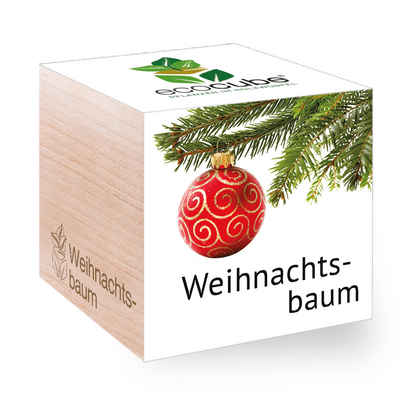 Feel Green Blumenerde »Ecocube Weihnachtsbaum, Nachhaltige Geschenkidee (100% Eco Friendly), Grow Your Own/Anzuchtset, Pflanzen Im Holzwürfel«, (1-St)