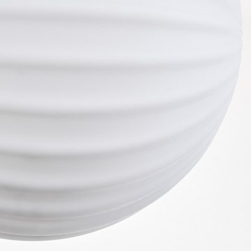 hofstein Deckenleuchte Deckenlampe aus Metall/Riffelglas in Schwarz/Weiß, ohne Leuchtmittel, moderne Leuchte mit Glasschirmen (12 cm), 4 x G9, ohne Leuchtmittel