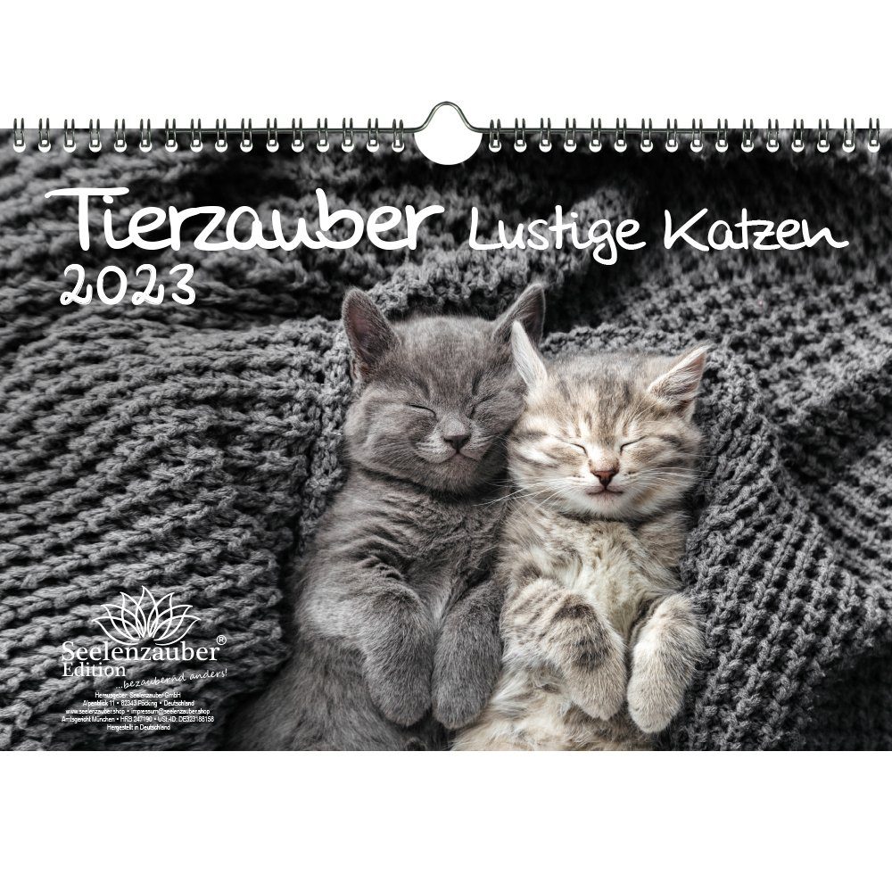Seelenzauber Wandkalender »Tierzauber lustige Katzen DIN A4 Kalender für«