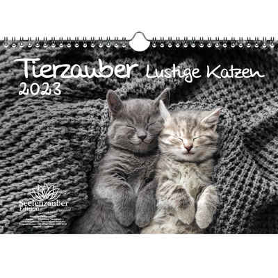 Seelenzauber Wandkalender »Tierzauber lustige Katzen DIN A4 Kalender für«