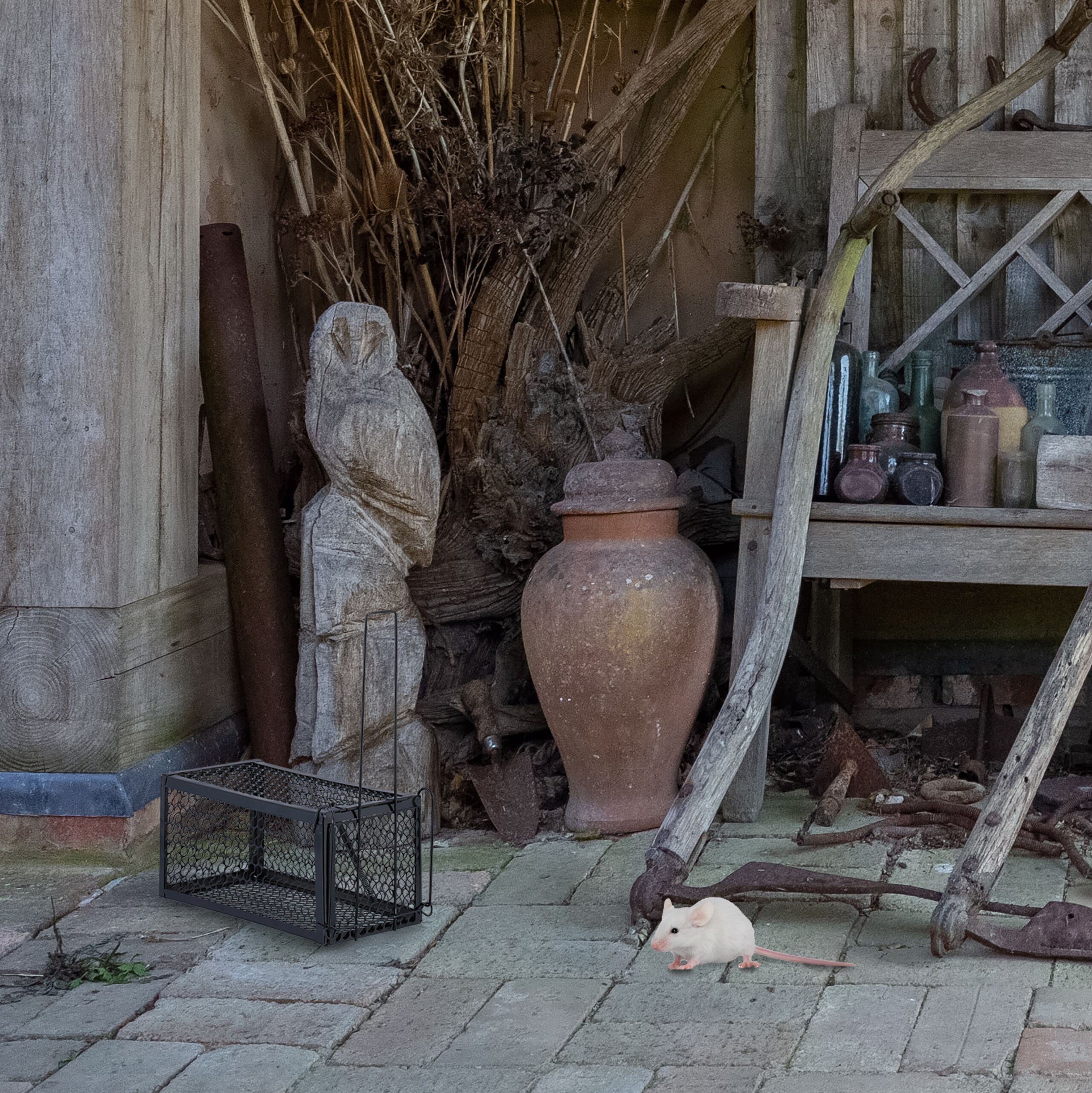 relaxdays Lebendfalle Mäuse und Ratten 2er Set