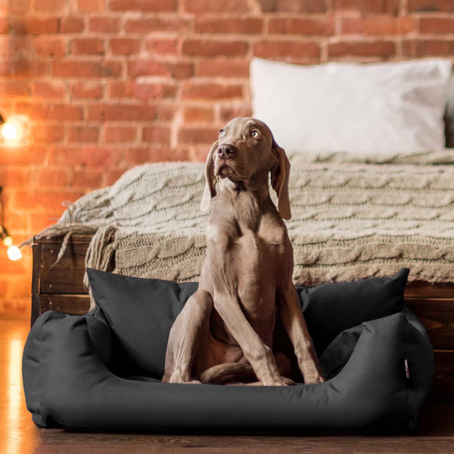 Thumbnail - tierlando® Tierbett NEMO Hundebett Hundesofa S M L Hundekorb