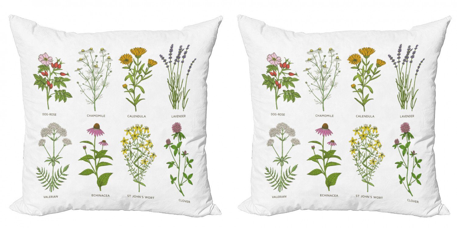 Kissenbezüge Modern Accent Doppelseitiger Digitaldruck, Abakuhaus (2 Stück), Kraut Naturkosmetik Blumen