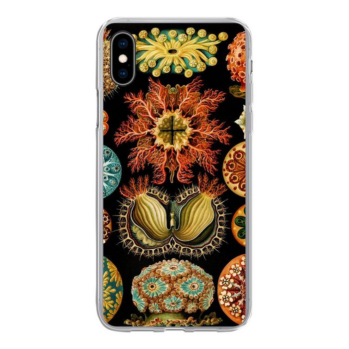 MuchoWow Handyhülle Vintage - Ernst Haeckel - Meerestier - Natur - Meer - Kunst Handyhülle Apple iPhone Xs Max Smartphone-Bumper Print Handy