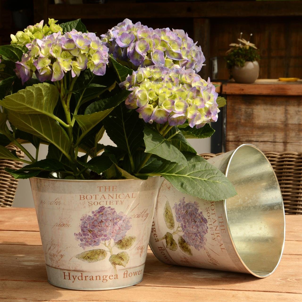 UNUS GARDEN Blumentopf Topf Zink rund günstig online kaufen