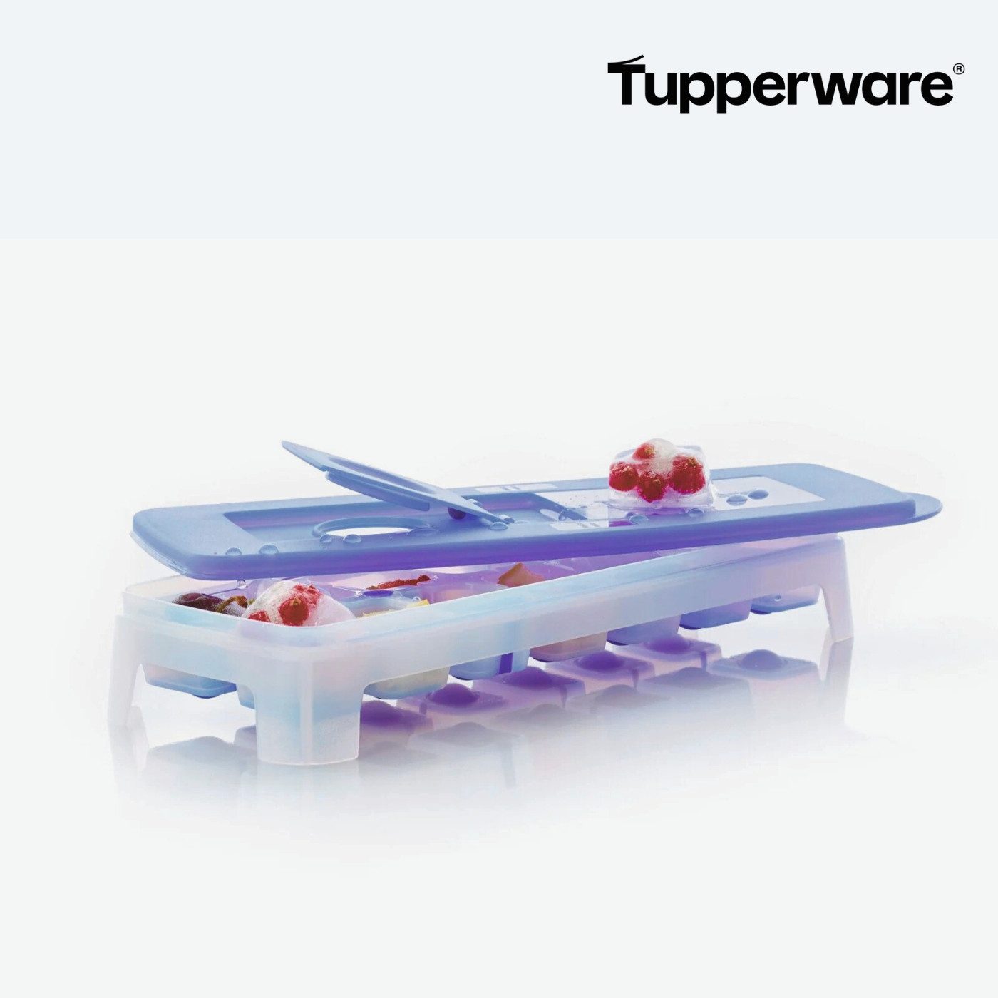 TUPPERWARE Eiswürfelform Eiswürfler