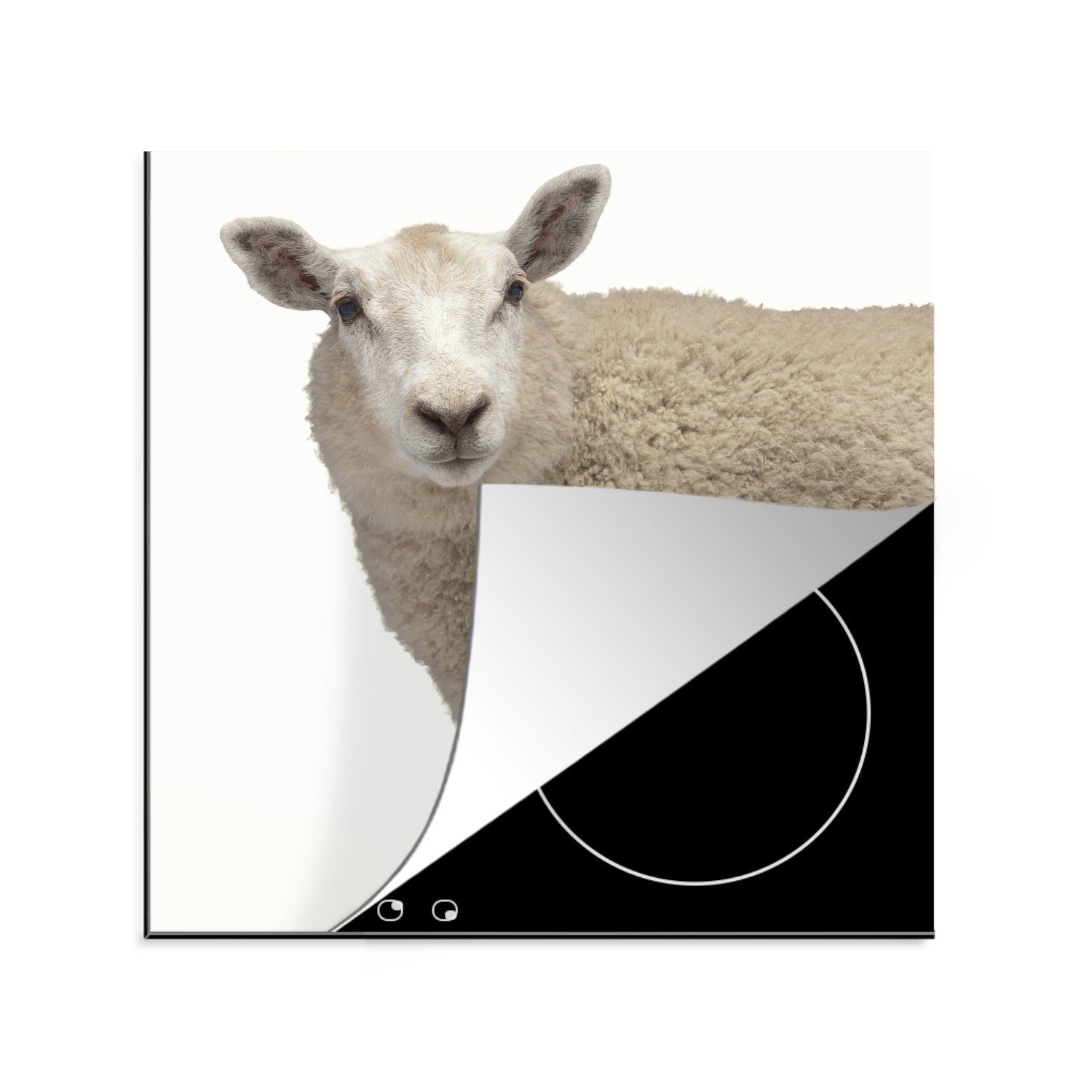 MuchoWow Herdblende-/Abdeckplatte Schaf - Fell - Tier, Vinyl, (1 tlg), 78x78 cm, Ceranfeldabdeckung, Arbeitsplatte für küche