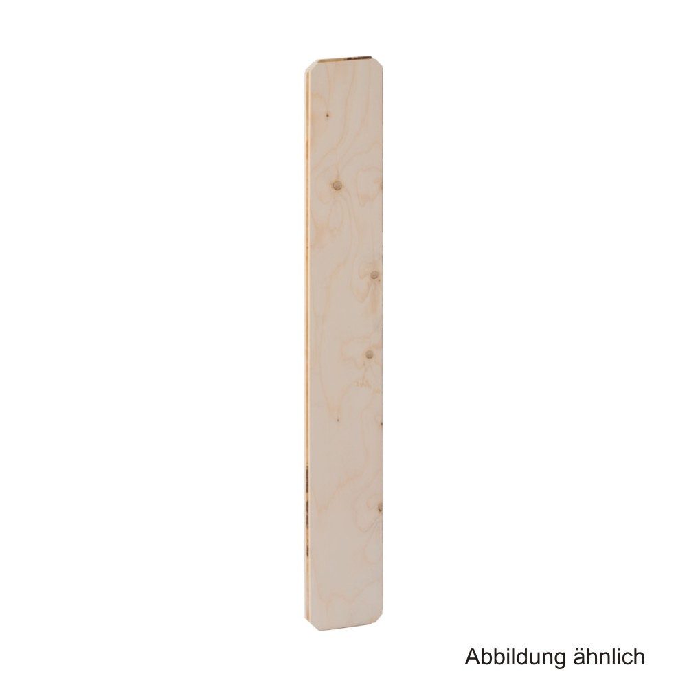 GEBERIT Vorwandelement WC Geberit GIS Montageplatte universell, 16 x 110 cm