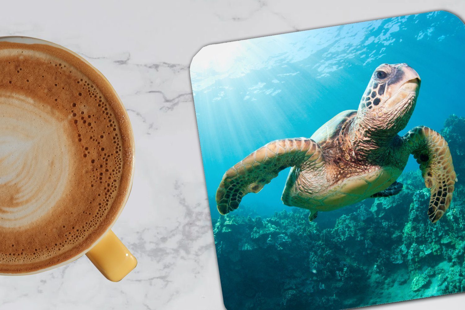 MuchoWow Glasuntersetzer Schwimmende Schildkröte Fotodruck, Untersetzer, für Tasse Glasuntersetzer, 6-tlg., Tischuntersetzer, Gläser, Zubehör Korkuntersetzer
