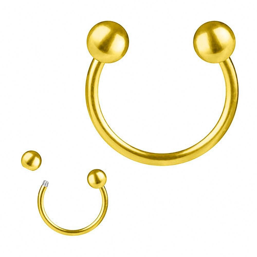 Taffstyle Nasenpiercing Hufesien Piercing Chirurgenstahl Lippe Helix Intim mit Kugeln (Universal Piercing Ring Horseshoe Nippel Lippe Nase Septum Tragus Ohr Hel – Bild 2 von 3