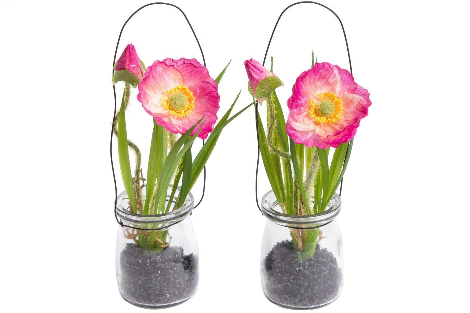 Kunstblume »Mohnblume im Glas« Mohn, Botanic-Haus, Höhe 19 cm-Otto
