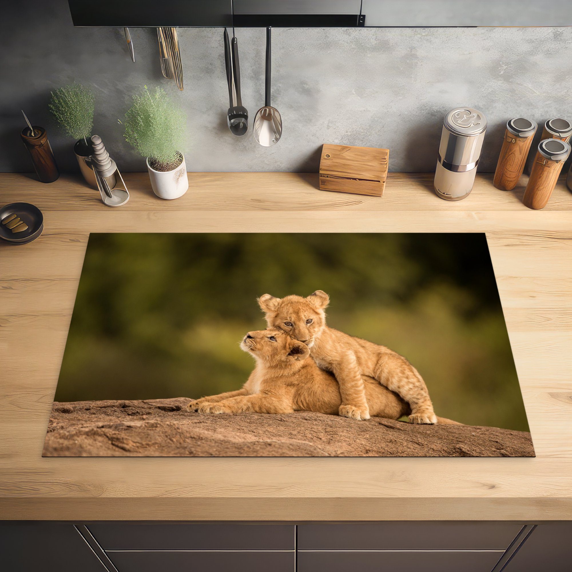 tlg), MuchoWow - cm, 81x52 Ceranfeldabdeckung die Schutz Natur, Vinyl, Löwe für Wilde - Tiere (1 Herdblende-/Abdeckplatte küche, Induktionskochfeld