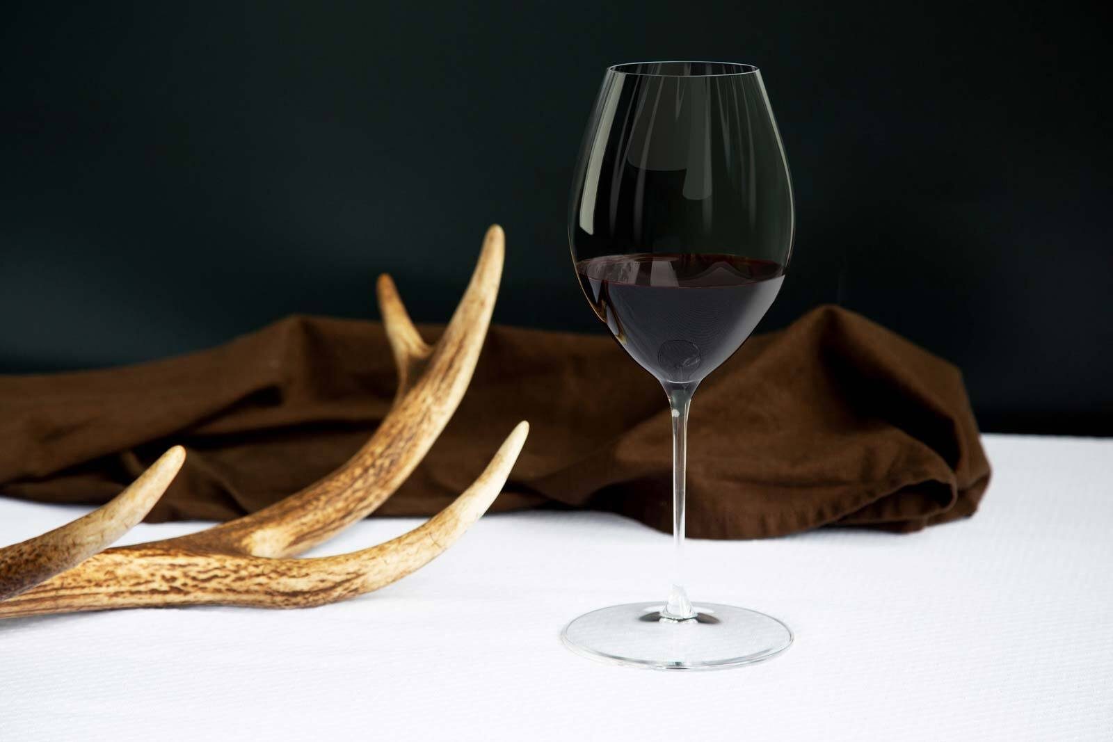 RIEDEL THE WINE GLASS COMPANY Rotweinglas Performance Syrah Shiraz Gläser 631 ml 2er Set, 2-tlg., Glas