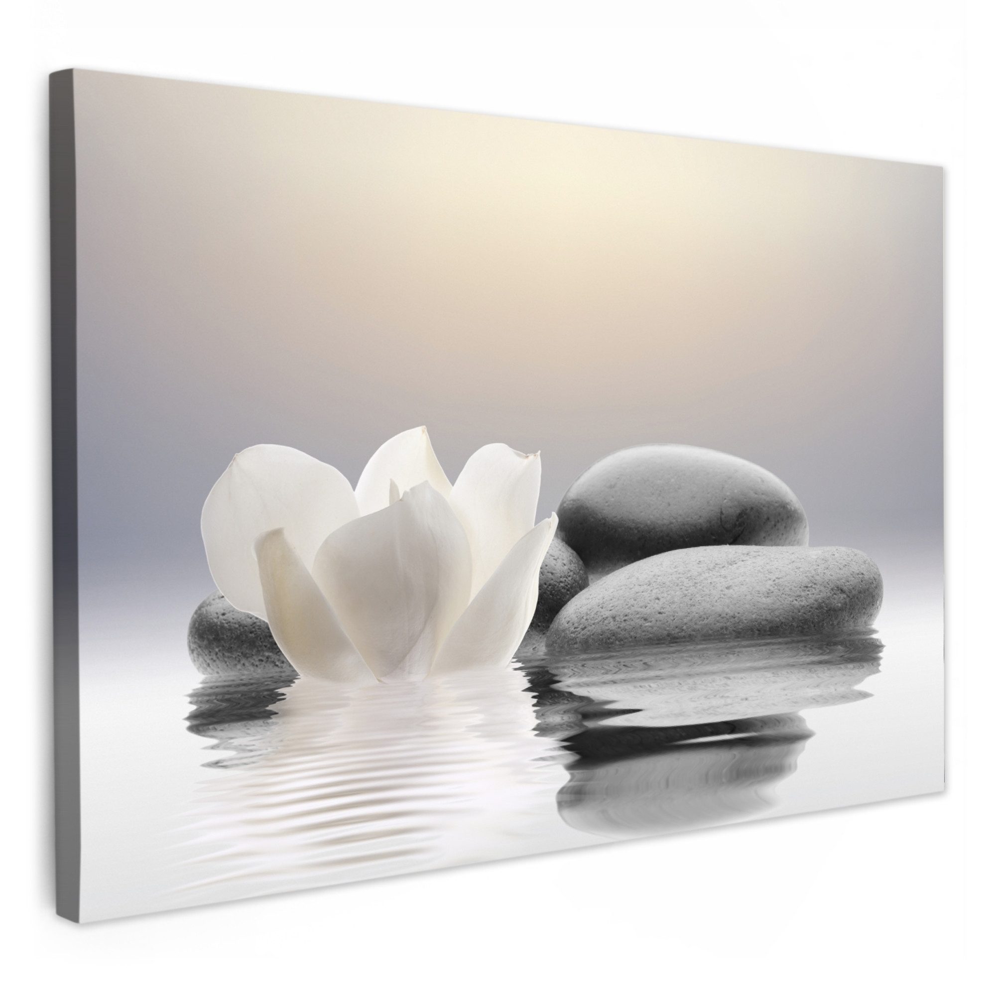 OneMillionCanvasses® Leinwandbild Steine - Lotus - Weiß - Wasser - Zen, Fotodruck (1 St), Bilder für Badezimmer, Bad und Toiletten Deko, Bild WC 30x20 cm