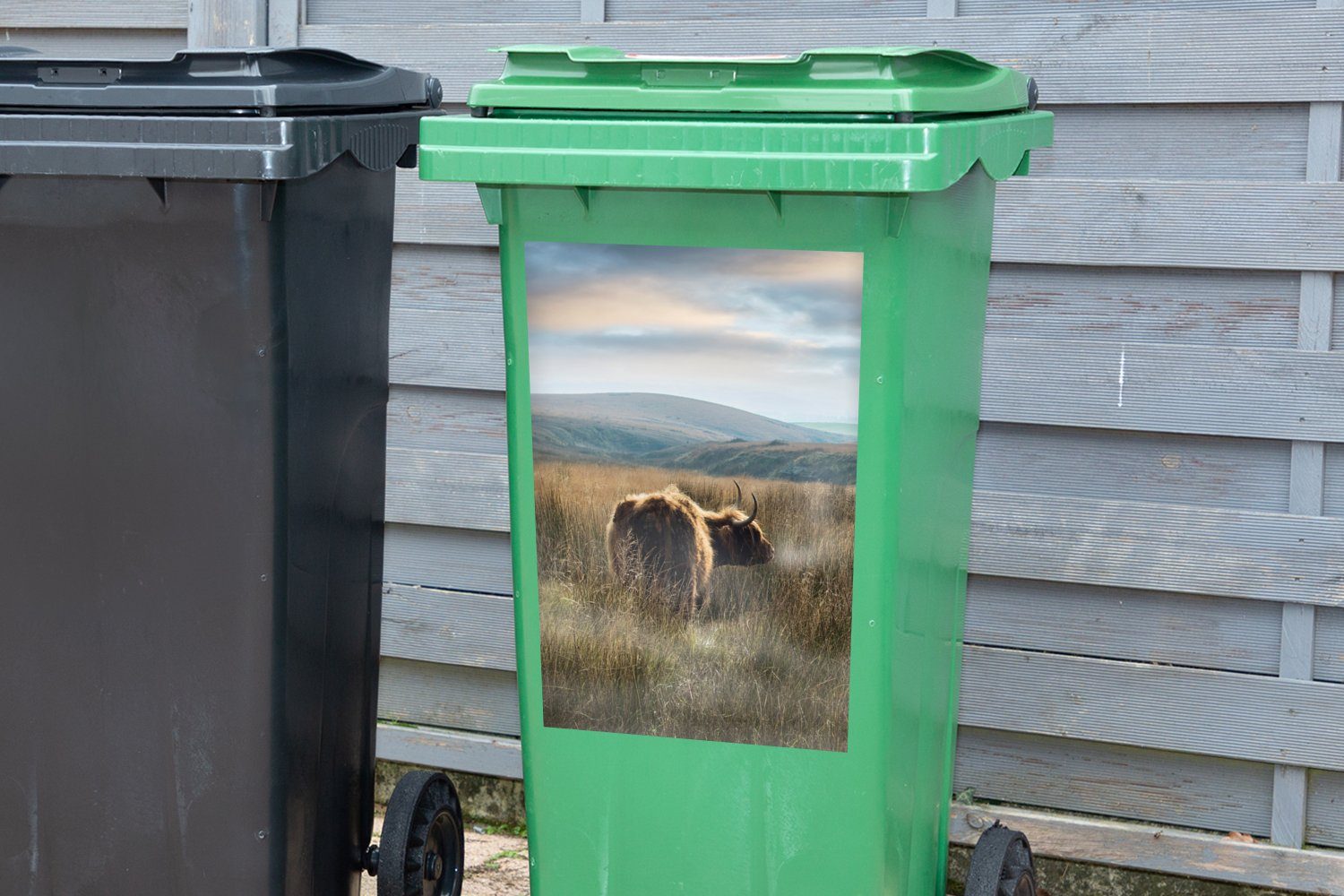 Gras Container, Wandsticker St), Mülltonne, Nebel Abfalbehälter (1 Schottische - - Highlander Mülleimer-aufkleber, MuchoWow Sticker,