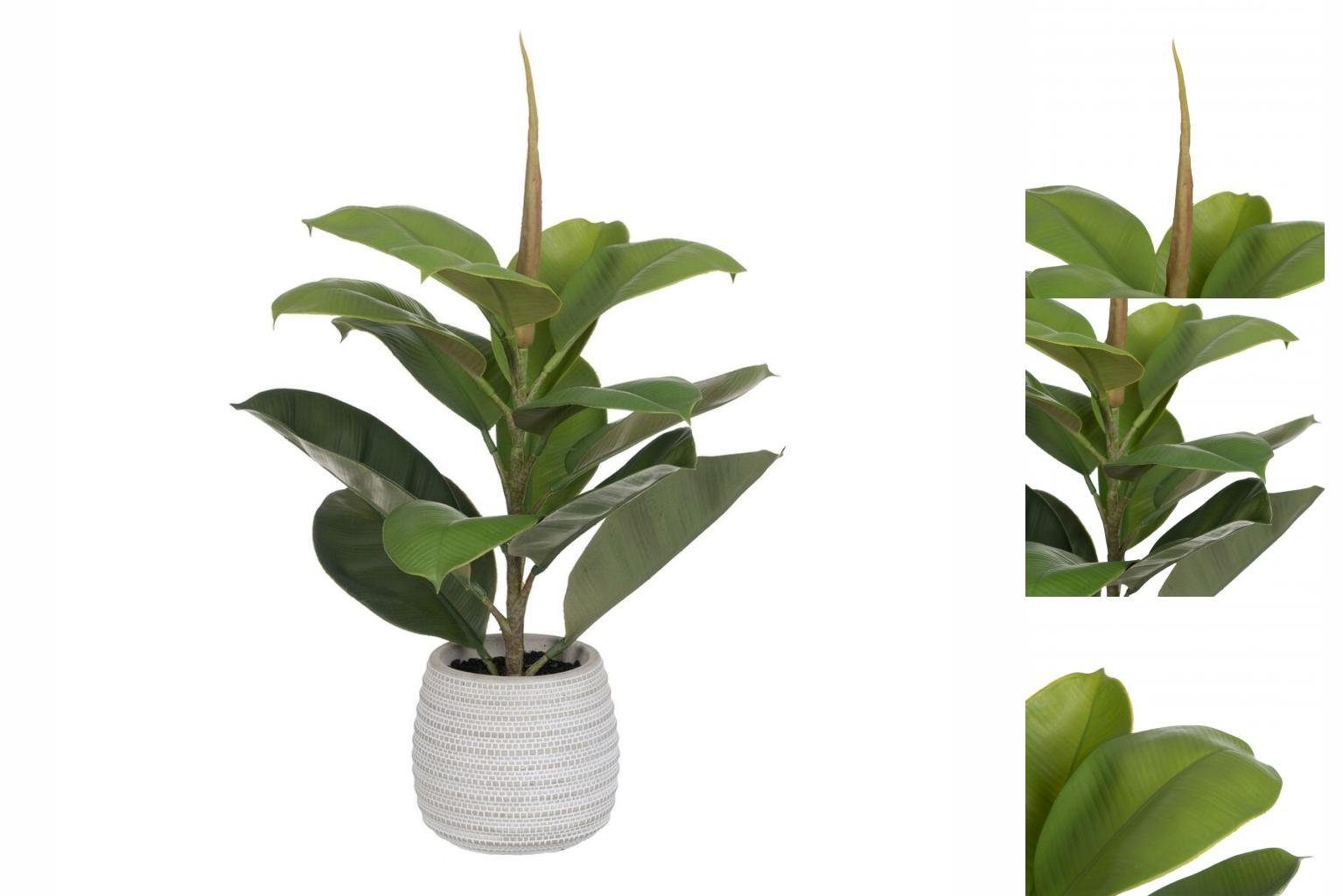 Künstliche Zimmerpflanze Dekorationspflanze grün PVC Eg 58 cm, Bigbuy, Höhe 58 cm