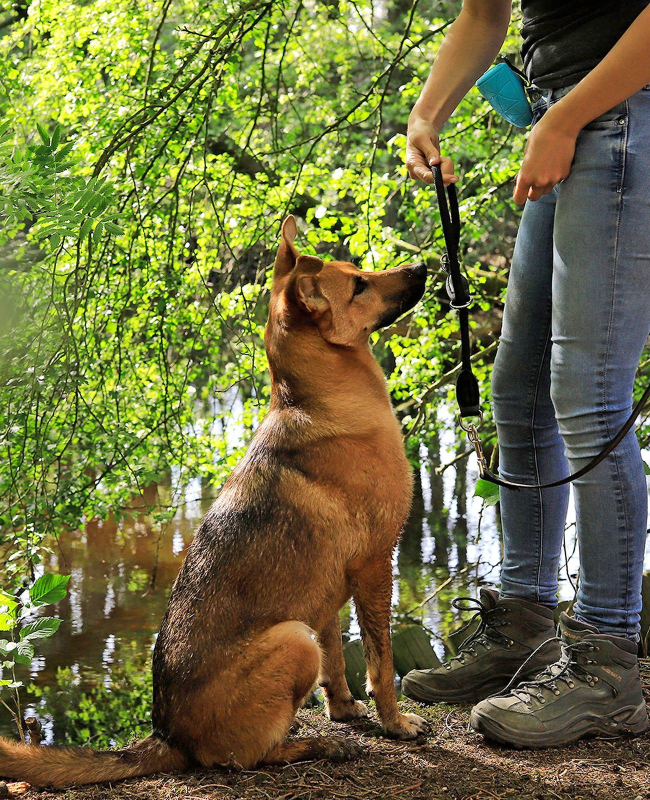 lionto Hunde-Halsband mit Zugstopp, Retrieverhalsband, Nylon, verstellbar & leicht mit Stoppring