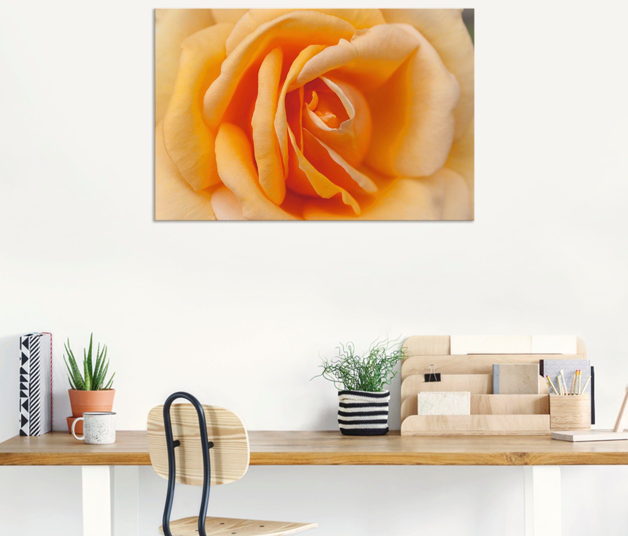 Artland Wandbild oder versch. Wandaufkleber Blumenbilder Rose (1 Leinwandbild, Alubild, in Größen Poster Orange, als in St), Zarte